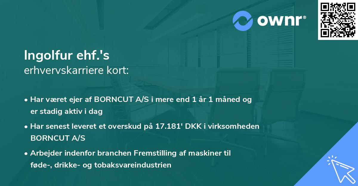 Ingolfur ehf.'s erhvervskarriere kort