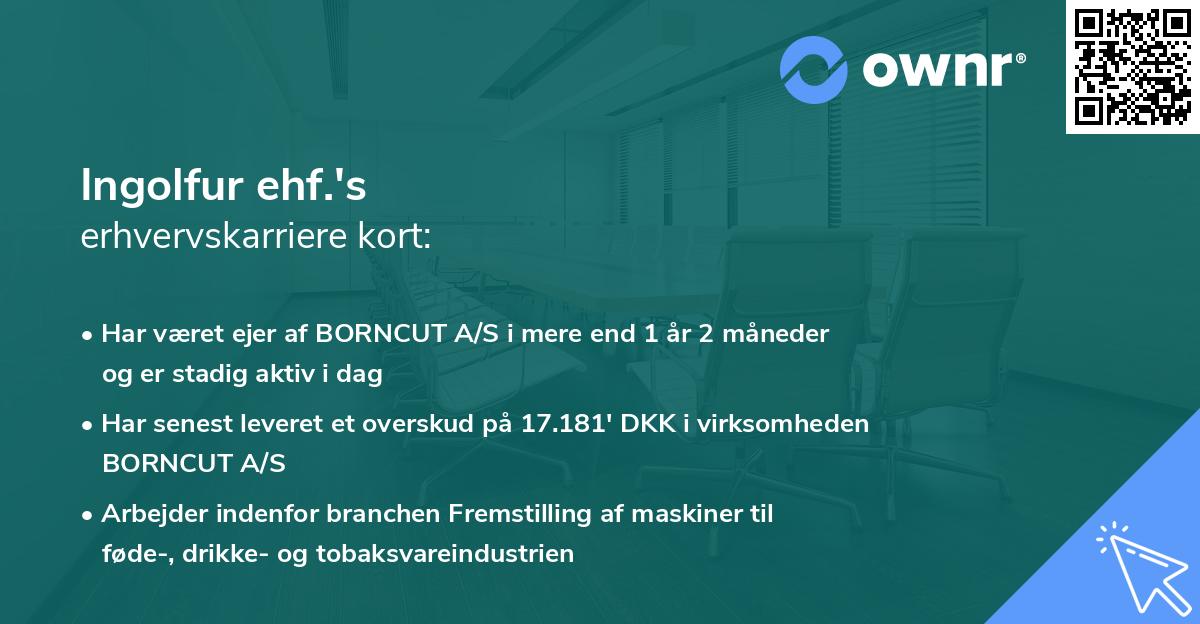 Ingolfur ehf.'s erhvervskarriere kort