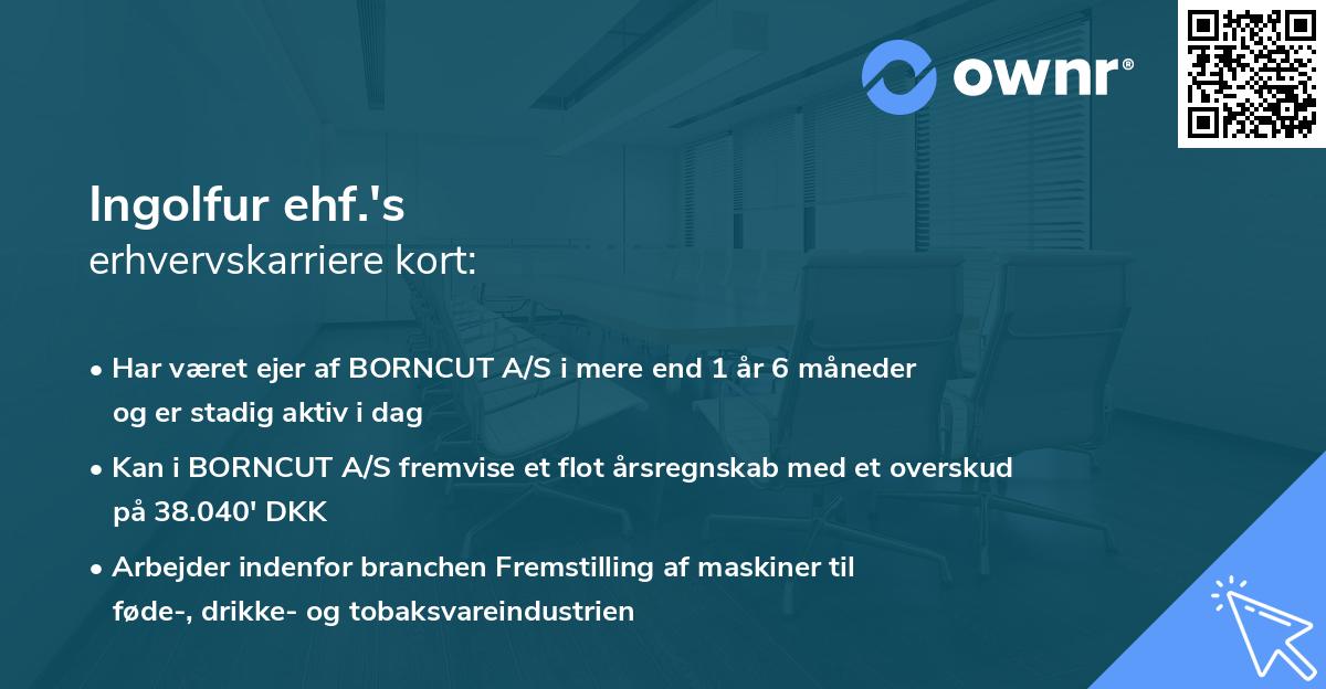 Ingolfur ehf.'s erhvervskarriere kort