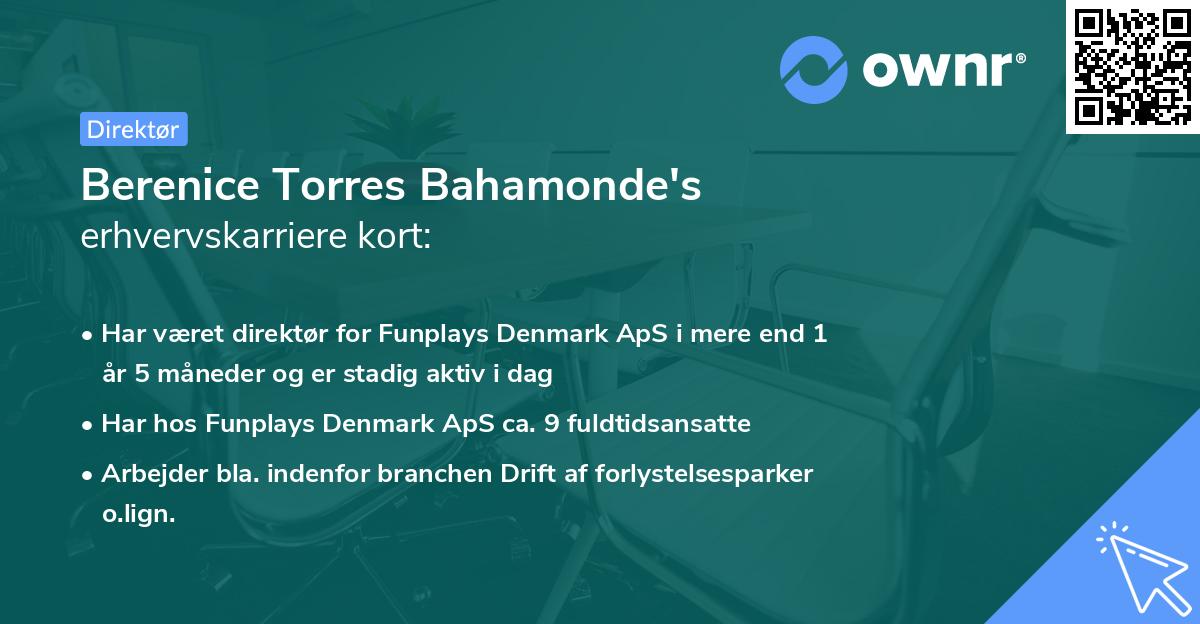 Berenice Torres Bahamonde's erhvervskarriere kort