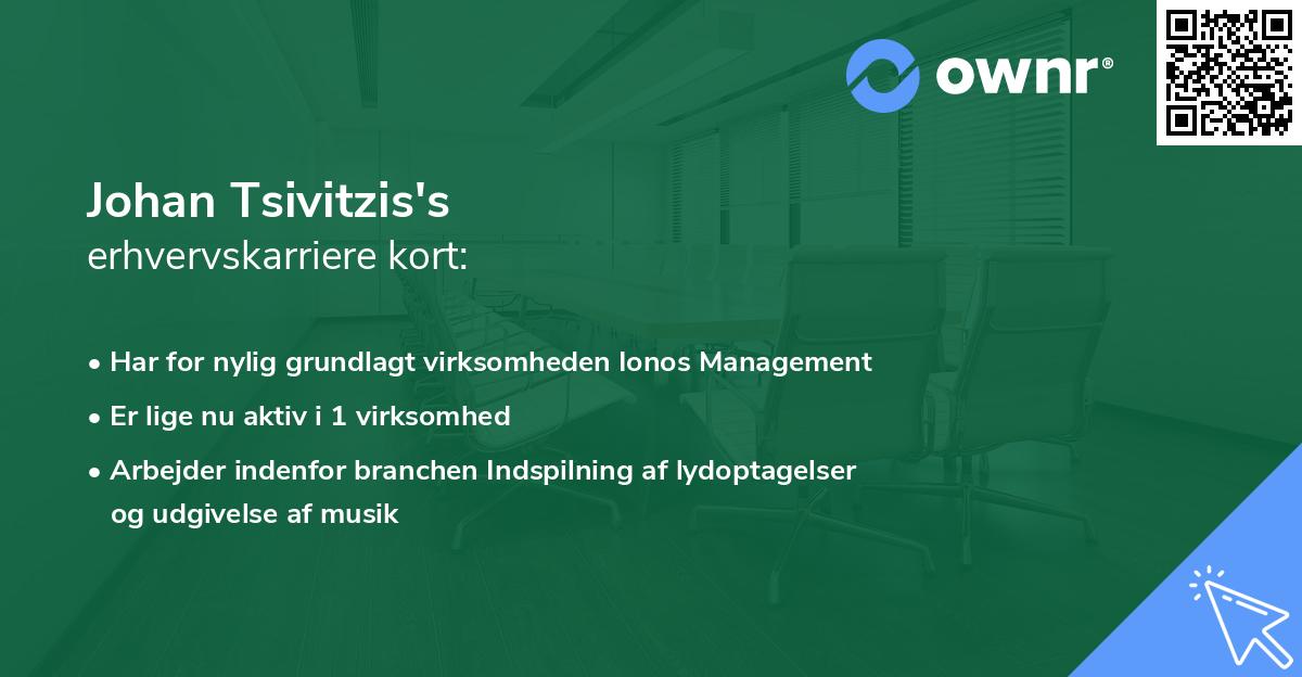 Johan Tsivitzis's erhvervskarriere kort