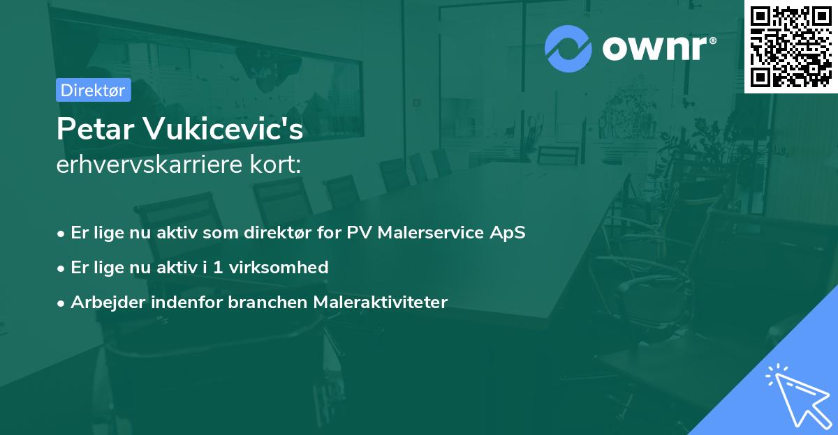 Petar Vukicevic's erhvervskarriere kort
