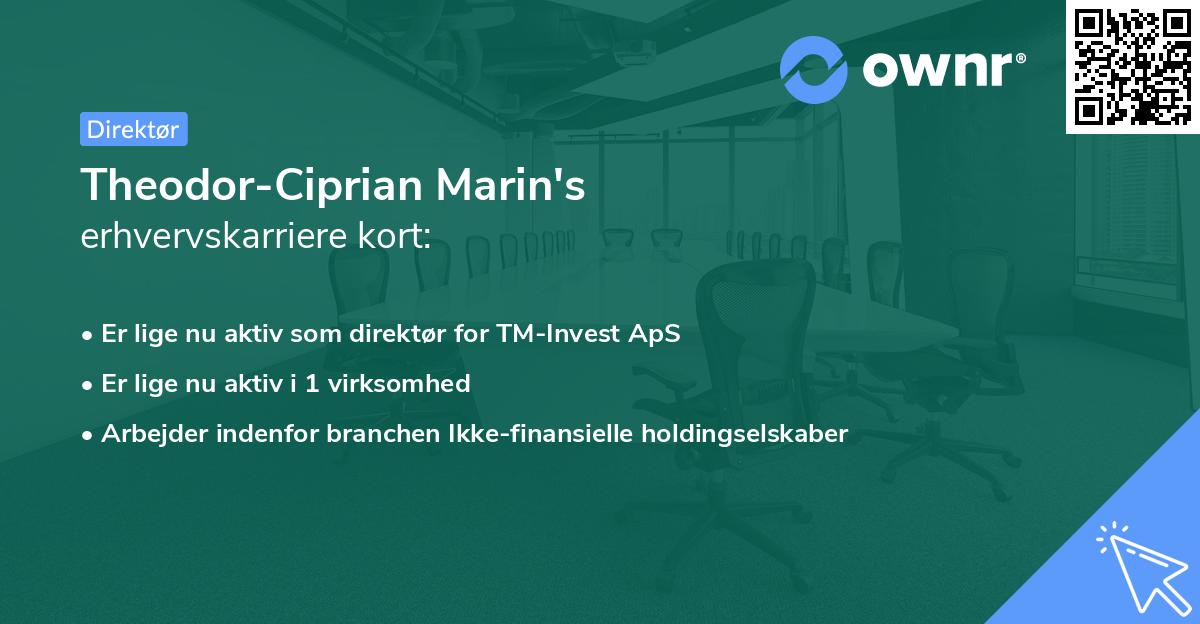 Theodor-Ciprian Marin's erhvervskarriere kort
