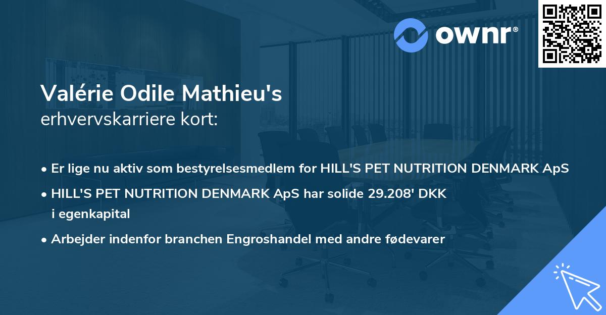 Valérie Odile Mathieu's erhvervskarriere kort