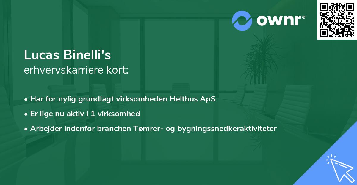 Lucas Binelli's erhvervskarriere kort