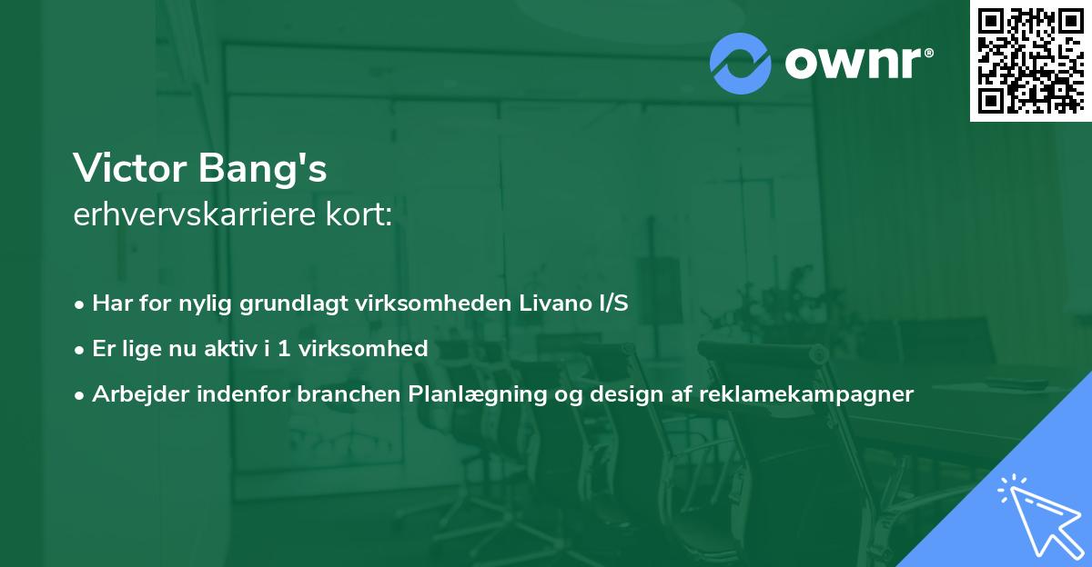 Victor Bang's erhvervskarriere kort