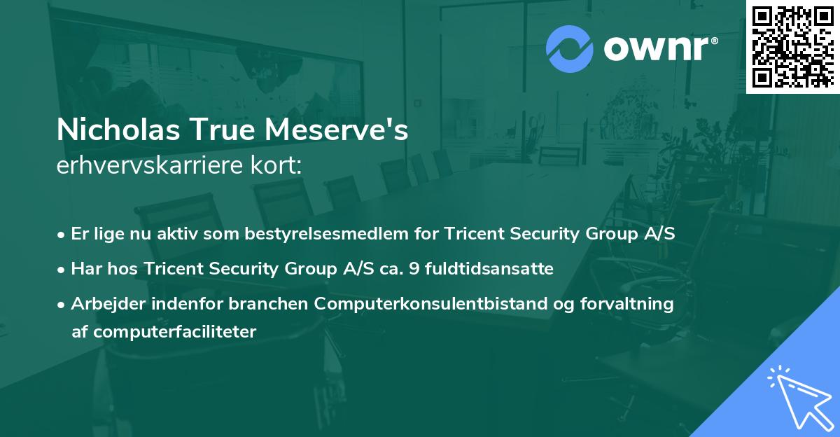 Nicholas True Meserve's erhvervskarriere kort