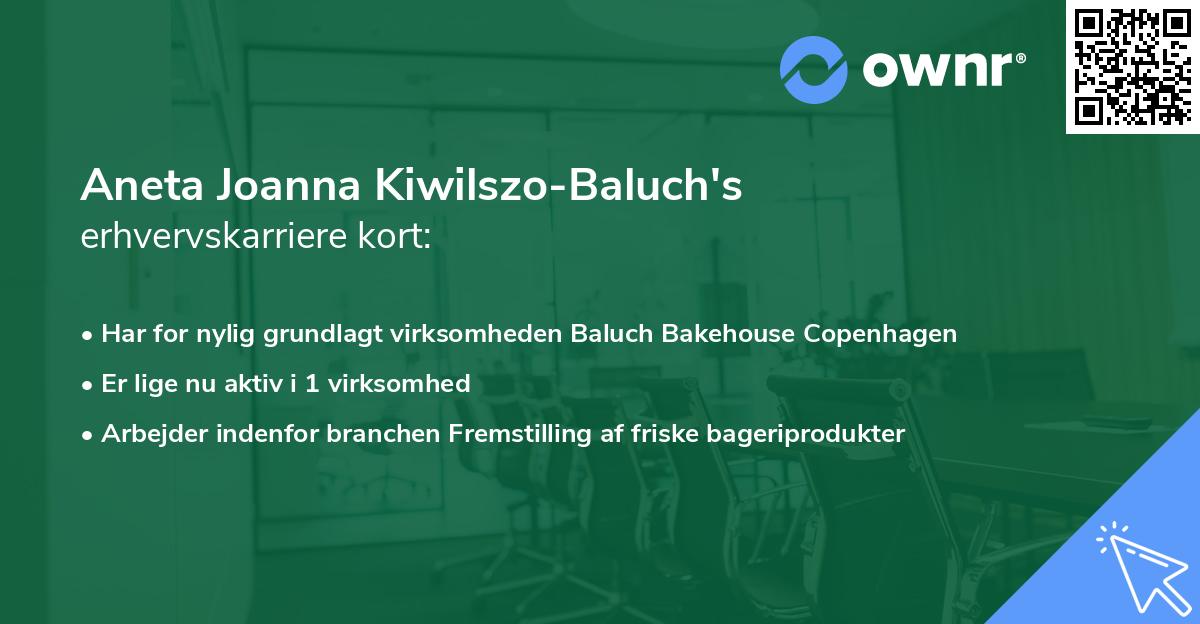 Aneta Joanna Kiwilszo-Baluch's erhvervskarriere kort