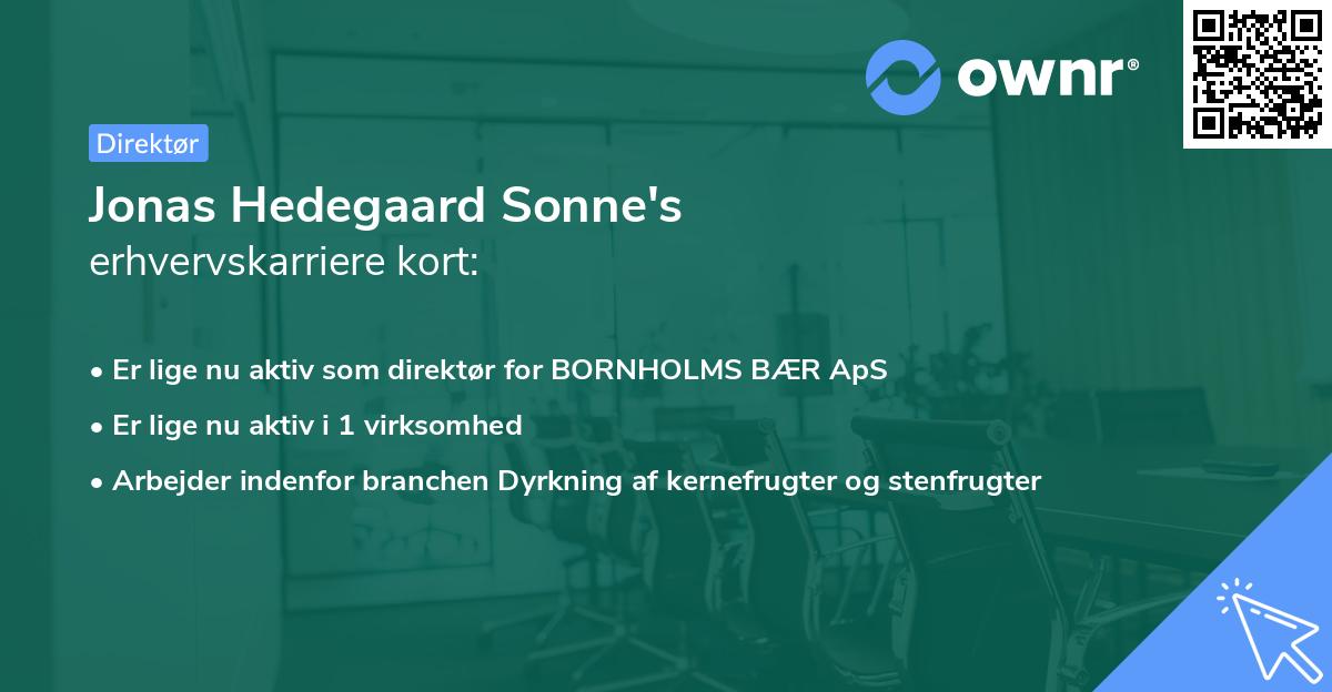 Jonas Hedegaard Sonne's erhvervskarriere kort