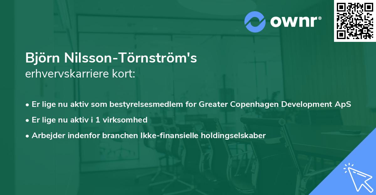 Björn Nilsson-Törnström's erhvervskarriere kort
