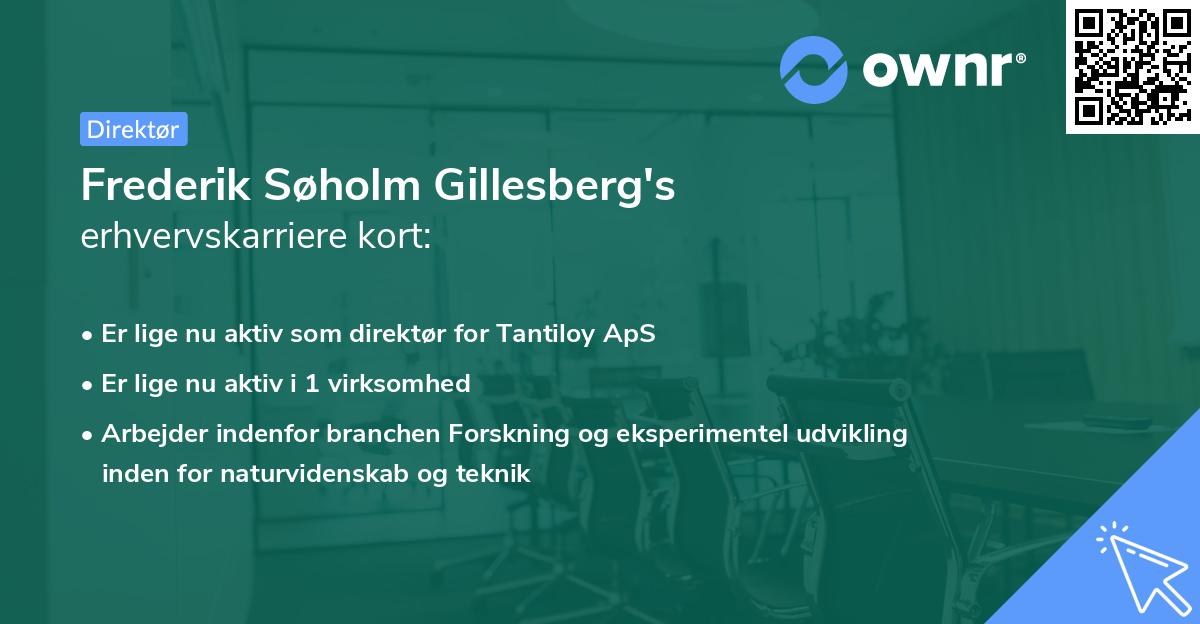 Frederik Søholm Gillesberg's erhvervskarriere kort