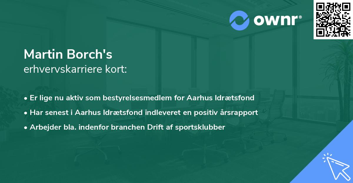 Martin Borch's erhvervskarriere kort