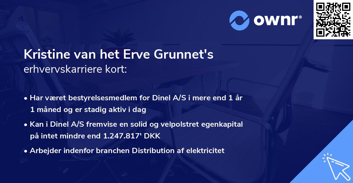 Kristine van het Erve Grunnet's erhvervskarriere kort