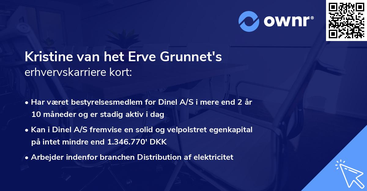Kristine van het Erve Grunnet's erhvervskarriere kort
