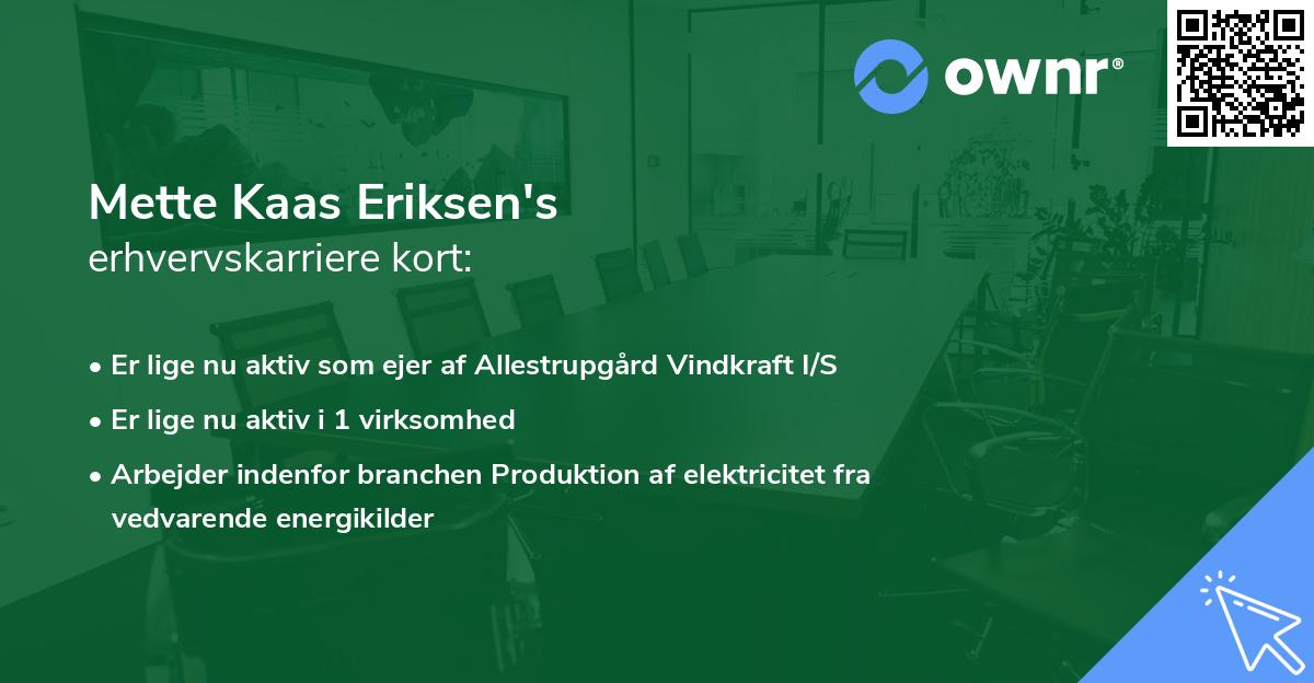 Mette Kaas Eriksen's erhvervskarriere kort