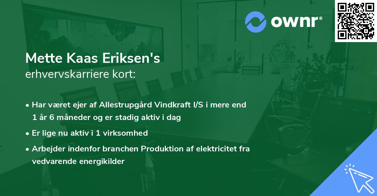 Mette Kaas Eriksen's erhvervskarriere kort