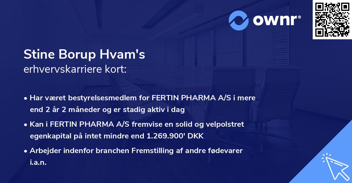 Stine Borup Hvam's erhvervskarriere kort