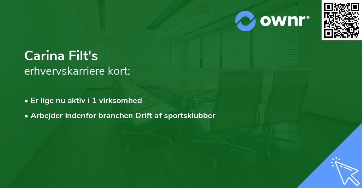 Carina Filt's erhvervskarriere kort