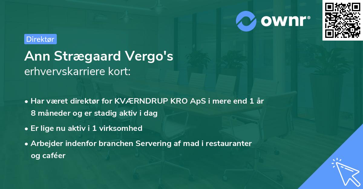 Ann Strægaard Vergo's erhvervskarriere kort