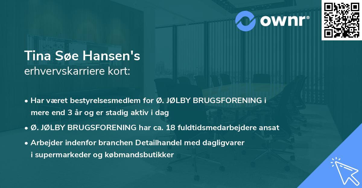 Tina Søe Hansen's erhvervskarriere kort