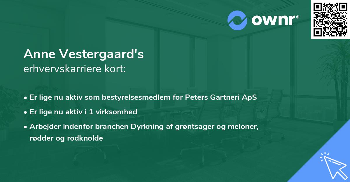 Anne Vestergaard's erhvervskarriere kort
