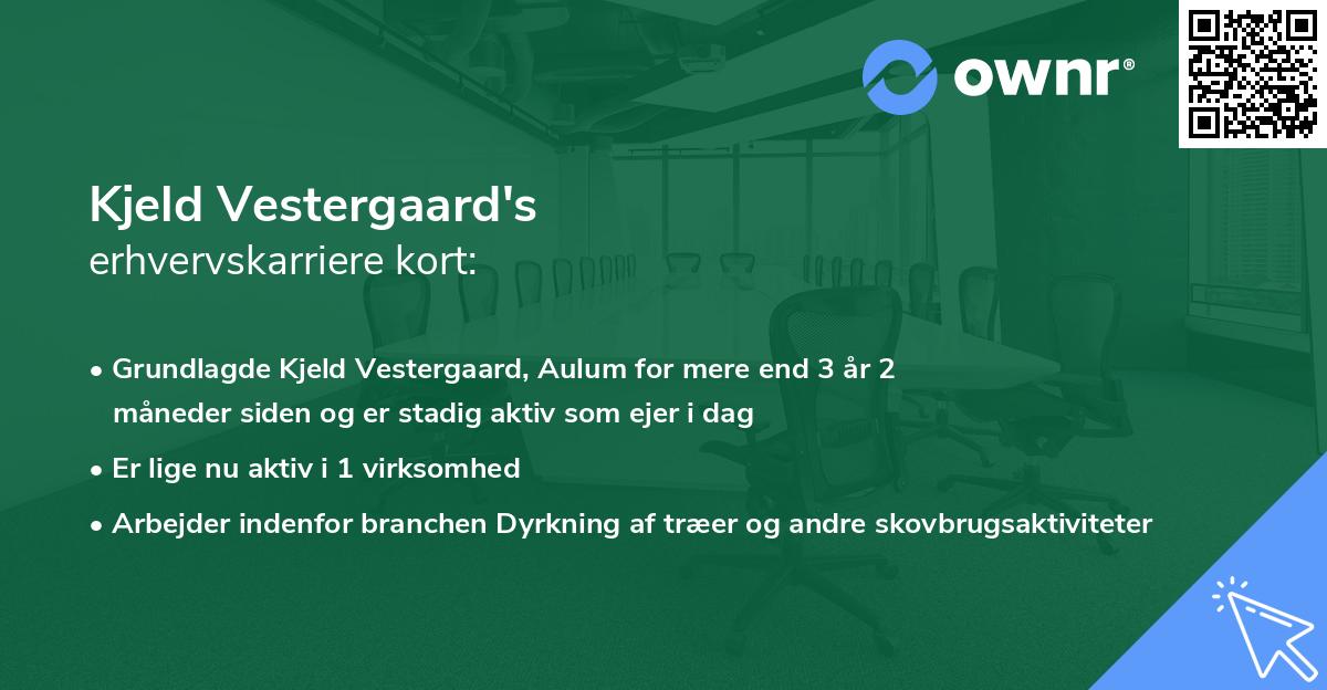 Kjeld Vestergaard's erhvervskarriere kort