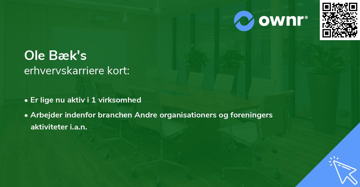 Ole Bæk's erhvervskarriere kort