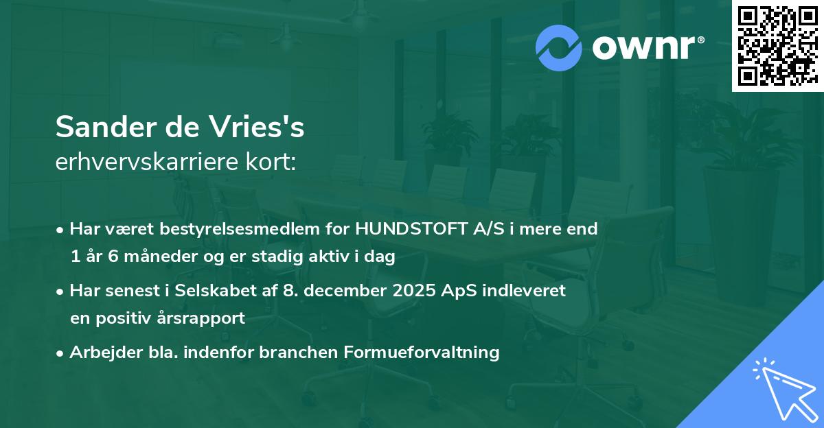 Sander de Vries's erhvervskarriere kort