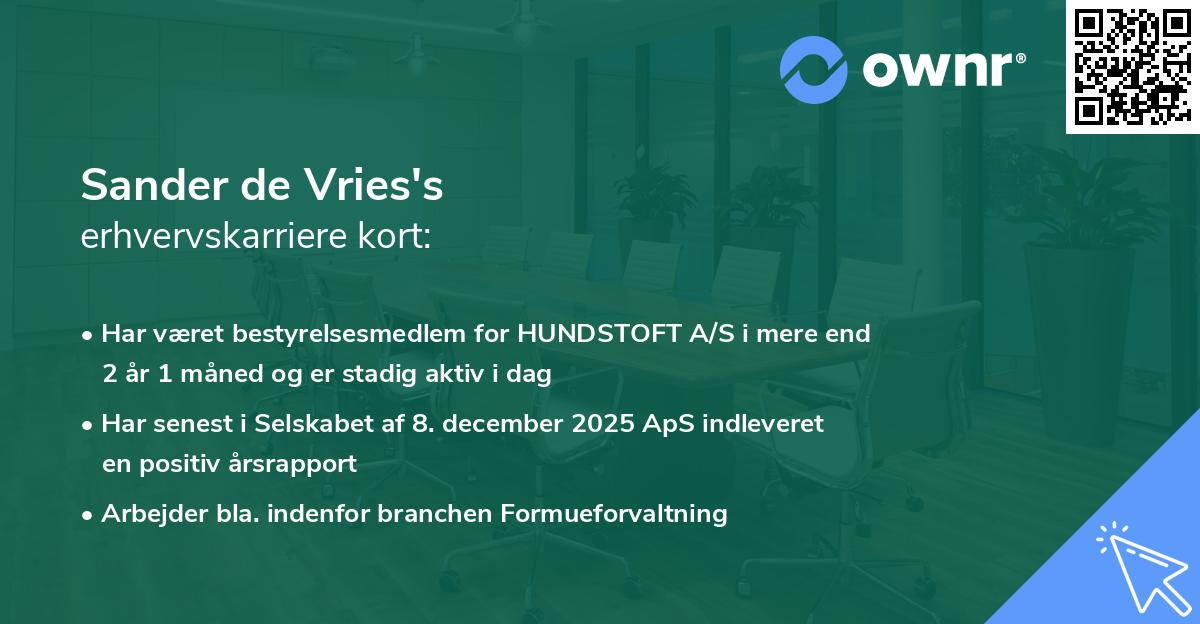 Sander de Vries's erhvervskarriere kort