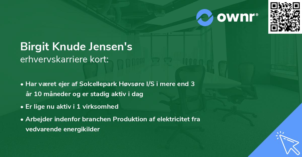 Birgit Knude Jensen's erhvervskarriere kort