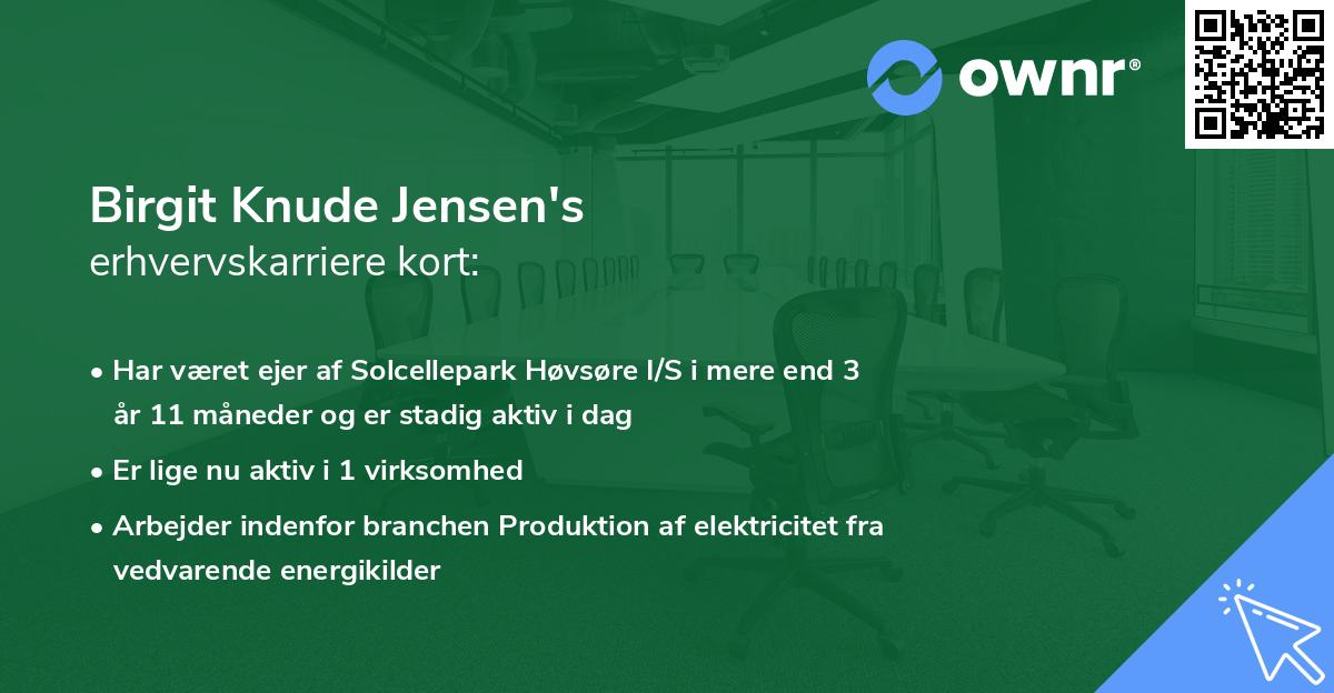 Birgit Knude Jensen's erhvervskarriere kort