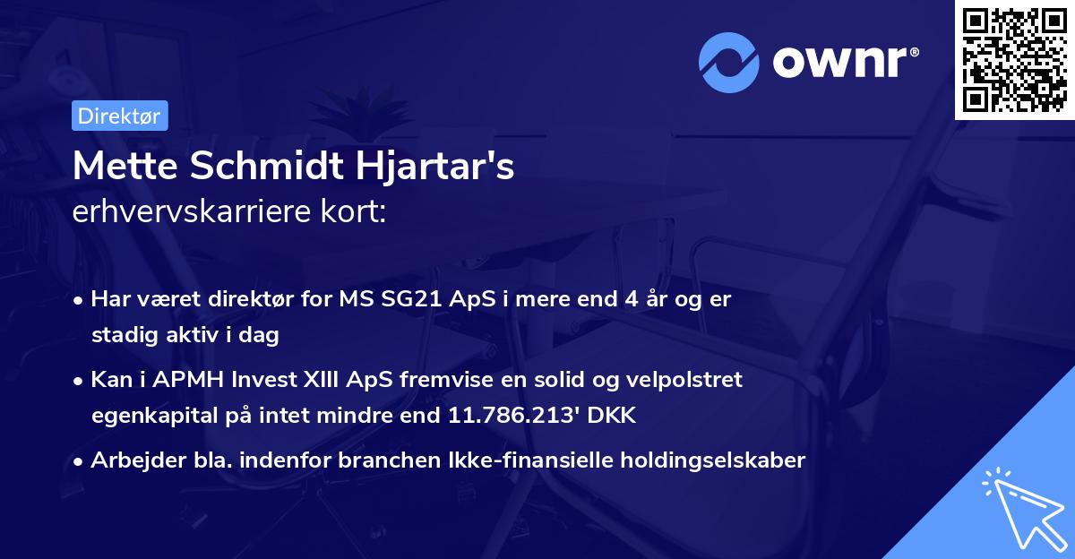 Mette Schmidt Hjartar's erhvervskarriere kort