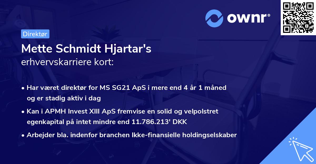 Mette Schmidt Hjartar's erhvervskarriere kort