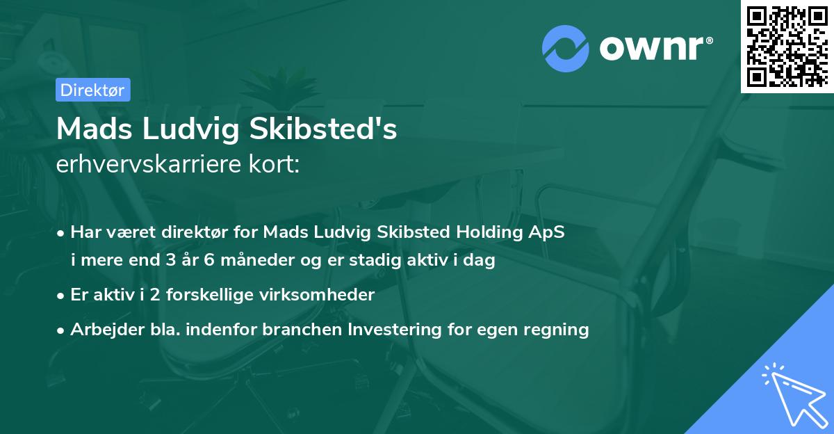 Mads Ludvig Skibsted's erhvervskarriere kort
