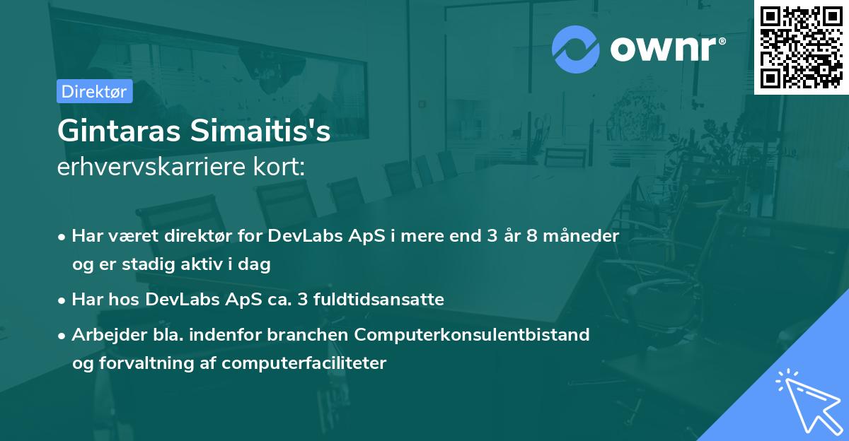 Gintaras Simaitis's erhvervskarriere kort