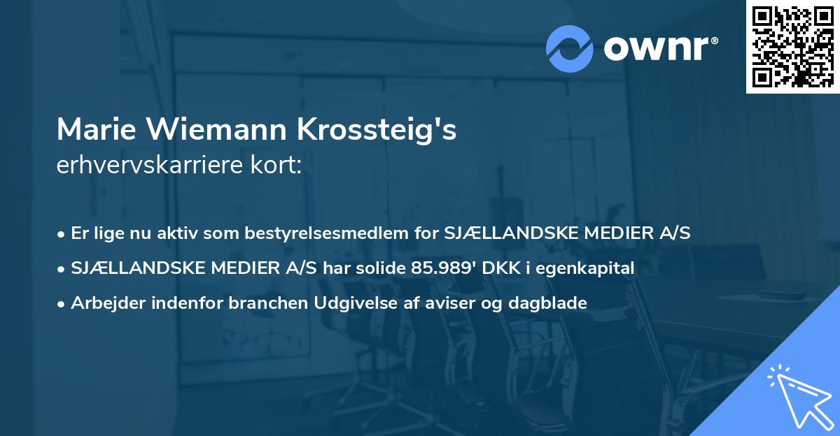 Marie Wiemann Krossteig's erhvervskarriere kort