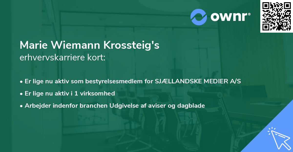 Marie Wiemann Krossteig's erhvervskarriere kort
