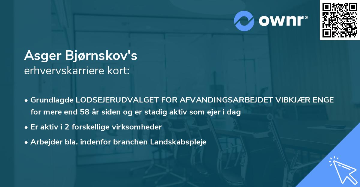 Asger Bjørnskov's erhvervskarriere kort