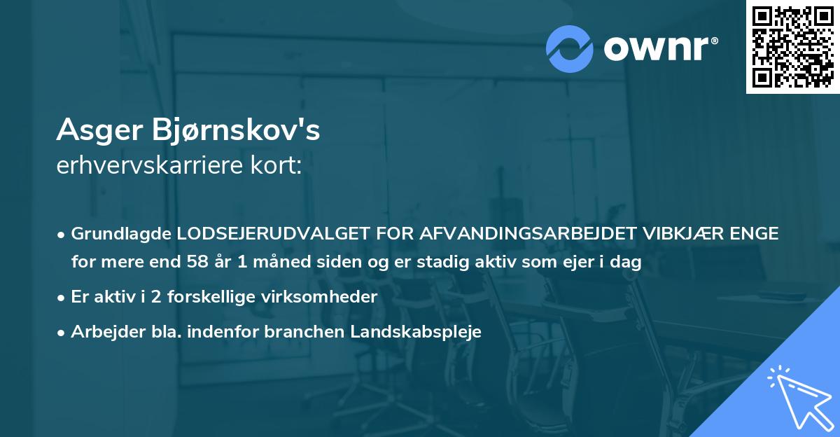 Asger Bjørnskov's erhvervskarriere kort