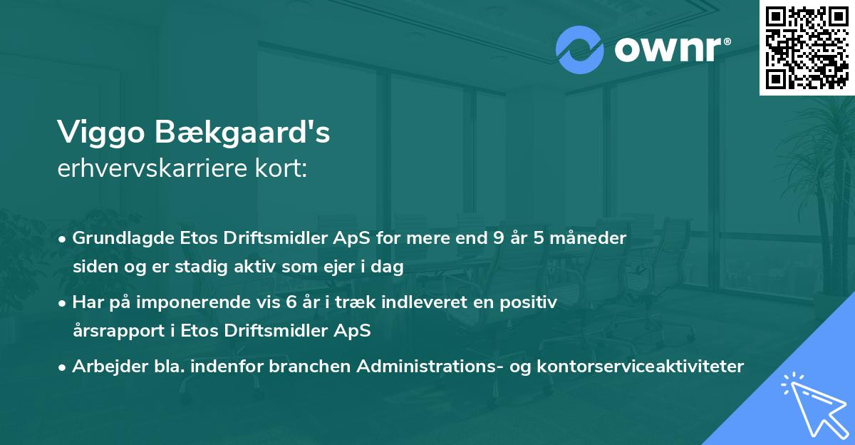 Viggo Bækgaard's erhvervskarriere kort