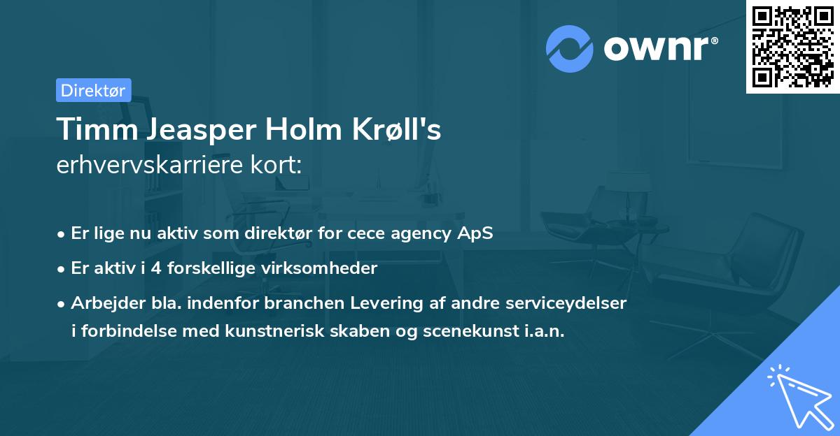 Timm Jeasper Holm Krøll's erhvervskarriere kort