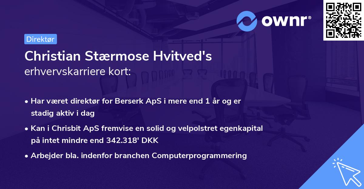 Christian Stærmose Hvitved's erhvervskarriere kort