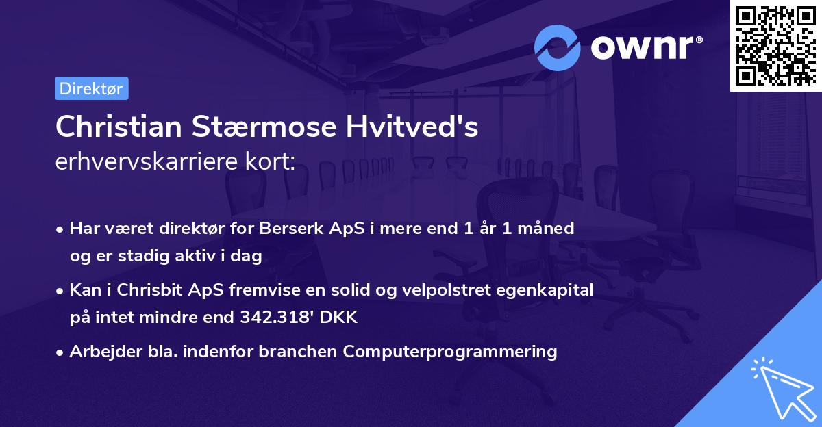 Christian Stærmose Hvitved's erhvervskarriere kort