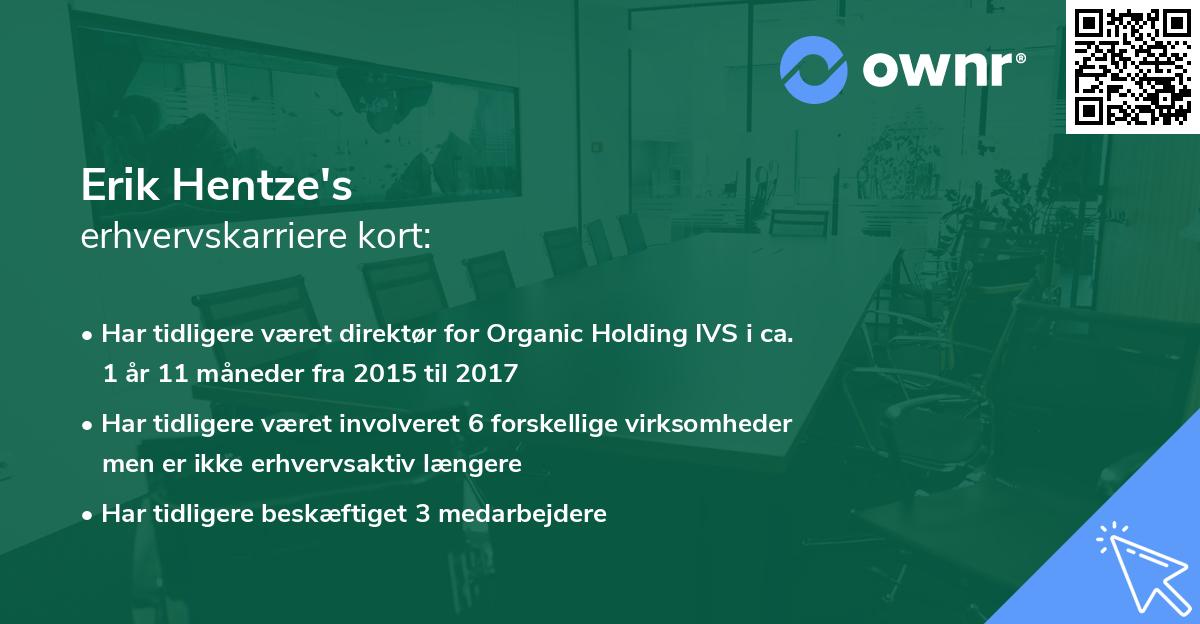 Erik Hentze's erhvervskarriere kort
