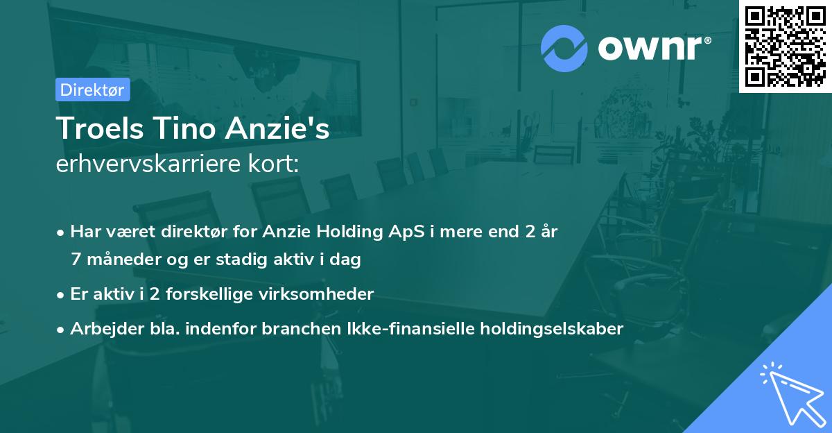 Troels Tino Anzie's erhvervskarriere kort