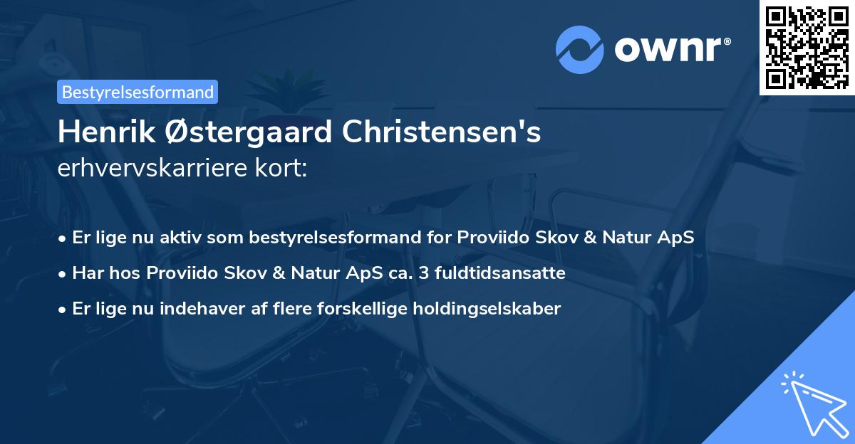Henrik Østergaard Christensen's erhvervskarriere kort