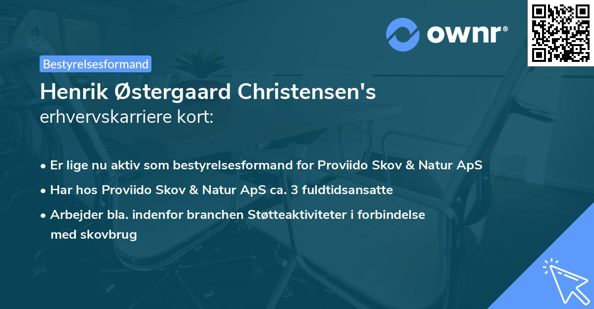 Henrik Østergaard Christensen's erhvervskarriere kort