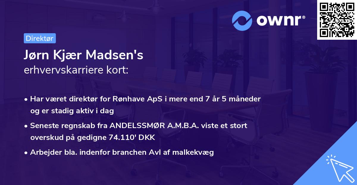 Jørn Kjær Madsen's erhvervskarriere kort