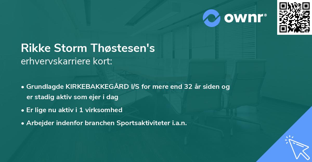 Rikke Storm Thøstesen's erhvervskarriere kort