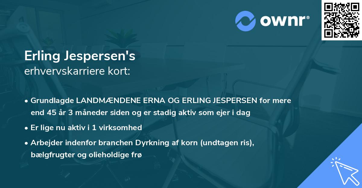 Erling Jespersen's erhvervskarriere kort